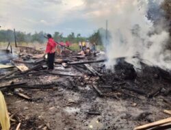 12 Ekor Kambing Terpanggang usai Kandan Terbakar di Sambas