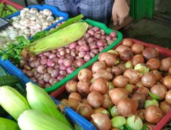 Diduga Ini Penyebabnya, Harga Sayuran di Sanggau Naik