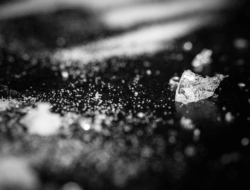 Gagalkan Pengiriman Ekstasi asal Lampung: Polda Metro Jaya Amankan 738 Butir