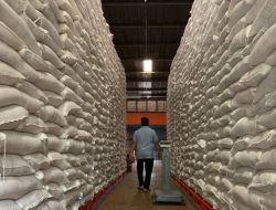 Ambisi Bulog 2026: Serap Jutaan Ton Pangan dengan Sokongan APBN