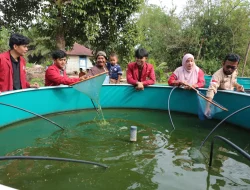 Pulihkan Ekonomi Pascabencana, Mahasiswa UM Tapsel Hadirkan Kolam Bioflok Panel Surya di Desa Aek Ngadol