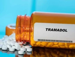 Sasar Generasi Muda, Lingkar Pemuda Nusantara Dukung BNN Perketat Pengawasan Tramadol