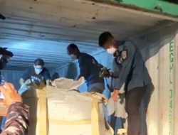 Ketegangan di Batam: TNI AL Bongkar Paksa 15 Kontainer Mineral, PT PMM Siap Gugat!