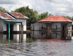 Banjir di Kubu Raya Rendam Ratusan Rumah Akibat Hujan Deras Berkepanjangan