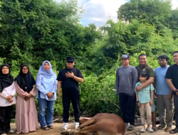Sujiwo Pastikan Puluhan Sapi Kurban Pemkab Kubu Raya Murni Swadaya ASN Tanpa Dana APBD