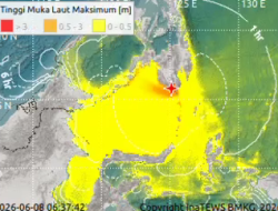 BNPB Minta Warga Pesisir Waspada Menyusul Tsunami Minor Akibat Gempa Sangihe