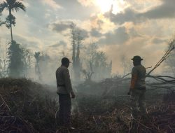 Delapan Hektare Lahan Terbakar dalam Kejadian Karhutla di Kubu Raya