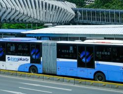 Jakarta Rayakan HUT, Layanan Transportasi dan Kunjungan Tempat Wisata Dikenakan Gratis Bagi Warga