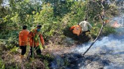 Waspadai Ancaman Kekeringan dan Kebakaran Lahan di Berbagai Wilayah Indonesia