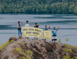 Kasus Eksploitasi Pulau Penebang, Serupa dengan Raja Ampat yang Izinnya Dicabut