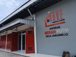 Dituding Kredit Koperasi Desa Merah Putih Bank BUMN, Danantara: Itu Dijamin dan Ditanggung Kemenkeu