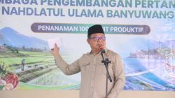 Sonny T. Danaparamita Satukan Energi Nasionalis-Nahdliyin bersama LPPNU Banyuwangi untuk Ketahanan Pangan
