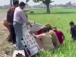 Motor Roda Tiga Koperasi Desa Merah Putih Terjun ke Sawah