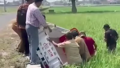 Motor Roda Tiga Koperasi Desa Merah Putih Terjun ke Sawah