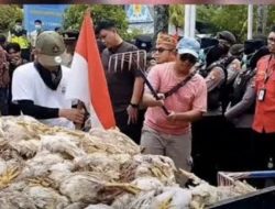 GPG Palangkaraya Pakai Cara Ekstrim Agar Telinga dan Empati Manajemen PLN Berfungsi