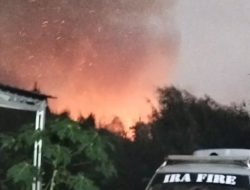Kebakaran Lahan di Handil Bakti Mengarah ke Permukiman, Diduga Dipicu Bakar Sampah