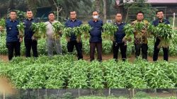 Lapas Muara Tebo dukung ketahanan pangan melalui program pembinaan panen sayur. (FAKTANASIONAL/HO).
