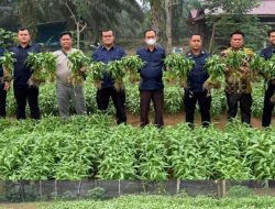 Lapas Muara Tebo Dukung Ketahanan Pangan Melalui Program Pembinaan Kemandirian