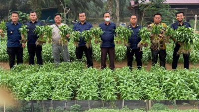 Lapas Muara Tebo dukung ketahanan pangan melalui program pembinaan panen sayur. (FAKTANASIONAL/HO).