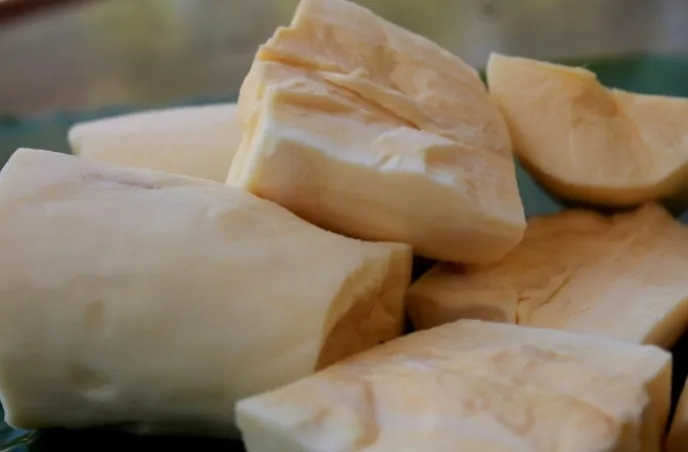 Impor Singkong Ditutup, Harga di Tingkat Petani Naik hingga Rp3.000 per Kilogram