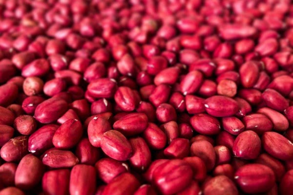 Deretan Manfaat Konsumsi Kacang Merah untuk Ibu Hamil