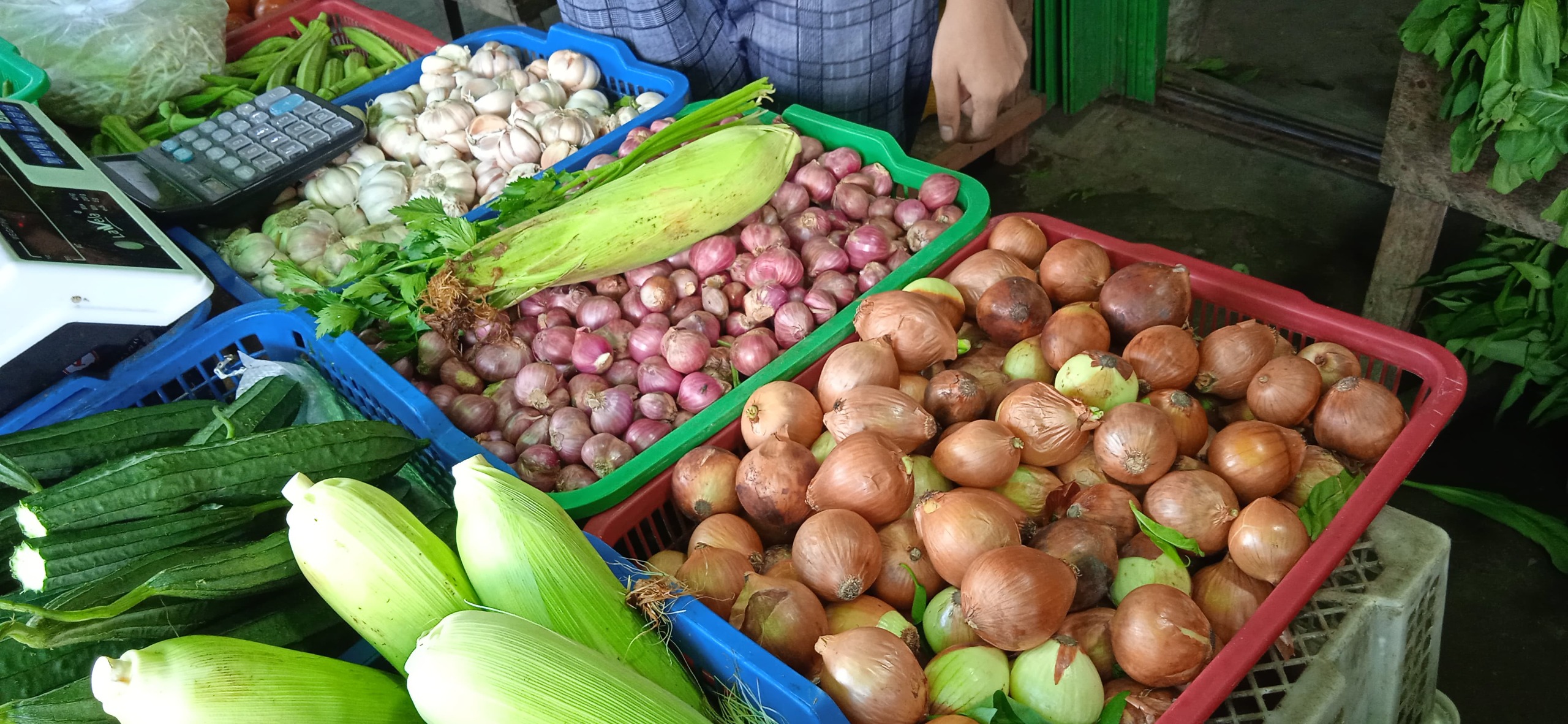 Diduga Ini Penyebabnya, Harga Sayuran di Sanggau Naik