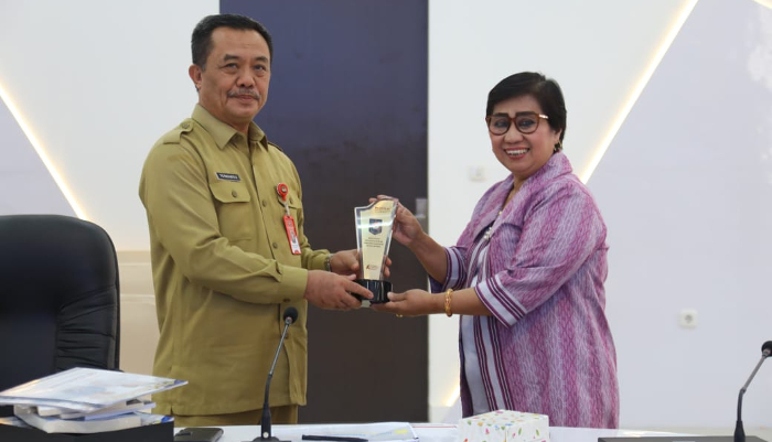 Beraudiensi, BSKDN Kemendagri Dorong BRIDA Sultra Lakukan Inovasi dengan Pendekatan Aglomerasi
