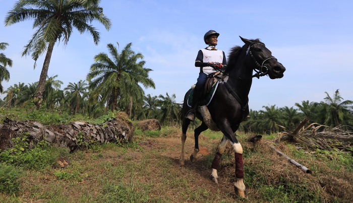 PON XXI 2024, Cabor Berkuda: Jakarta dan Jawa Barat Raih Emas, Sumut Sumbang Perunggu