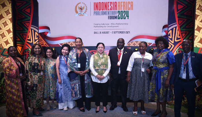 Lewat IAPF, DPR RI dan Parlemen Afrika Sepakat Sinergi Perangi Mpox