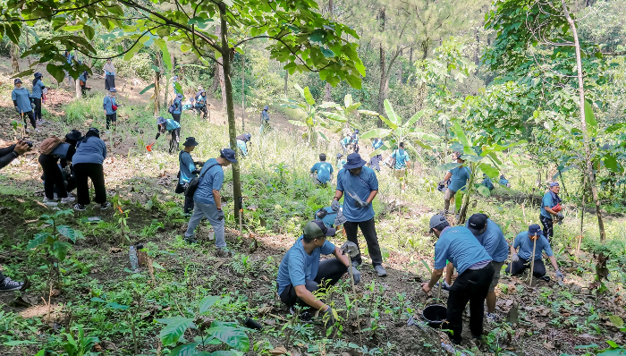 Gandeng Perhutani, TÜV Rheinland Indonesia Tanam 200 Pohon untuk Masa Depan Berkelanjutan