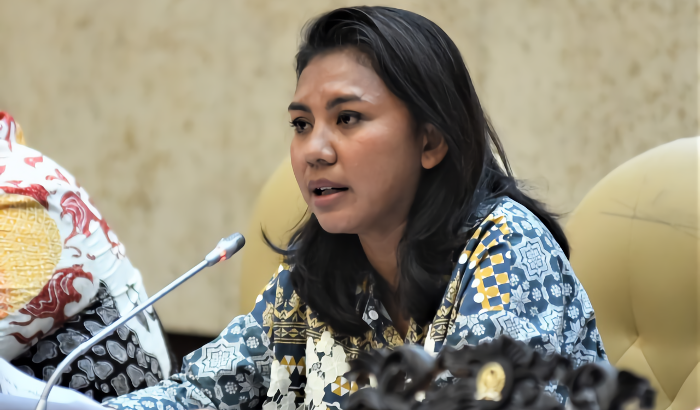 DPR Dukung Penghapusan Pajak Tiket Pesawat untuk Turunkan Harga