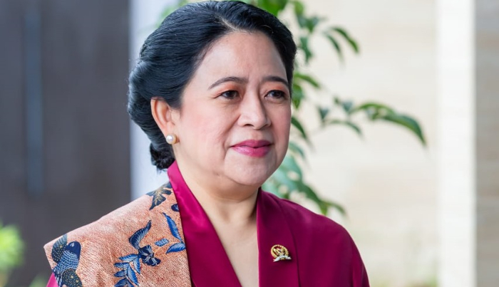 Ada Suspect Baru Mpox, Puan Minta Pemerintah Perkuat Jaring Pengaman Layanan Kesehatan