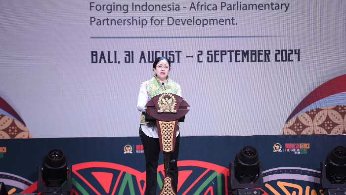 Puan Singgung Dukungan RI untuk Palestina di Forum Bareng Parlemen Afrika