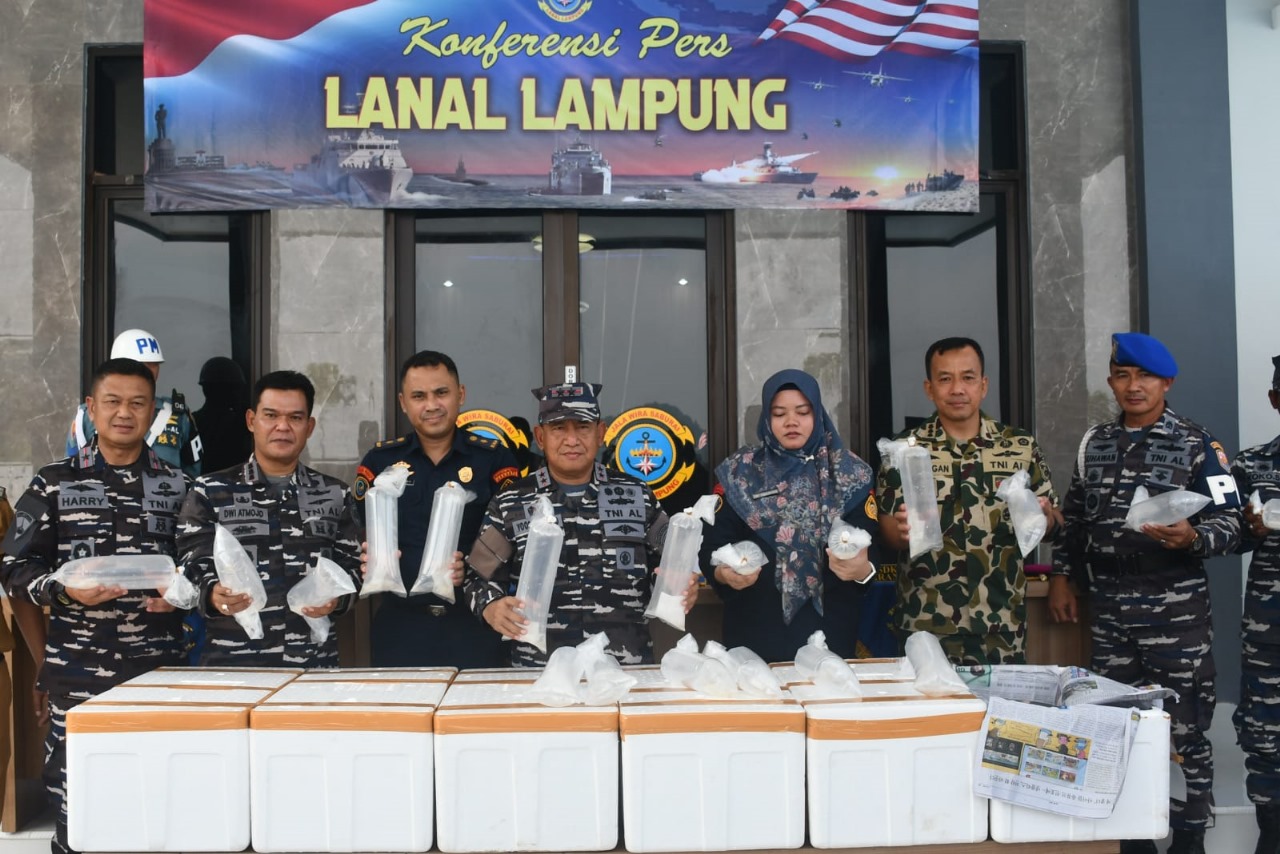 TNI AL Gagalkan Penyelundupan Benih Bening Lobster di Lampung