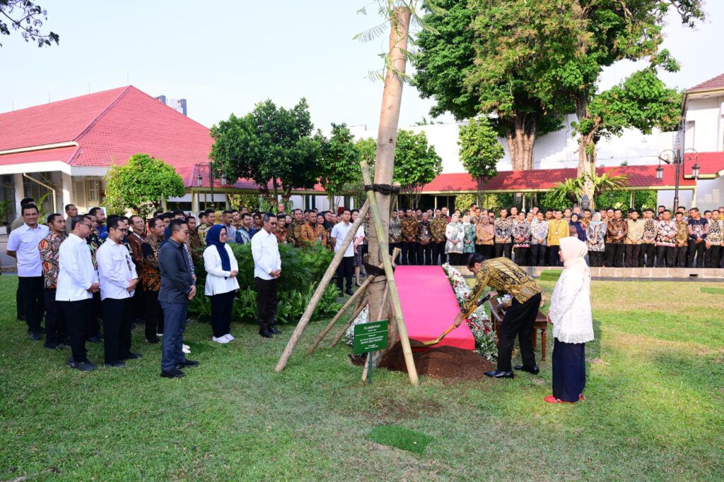 Jokoi Tanam Pohon Pulai di Halaman Istana untuk Kenang-kenangan