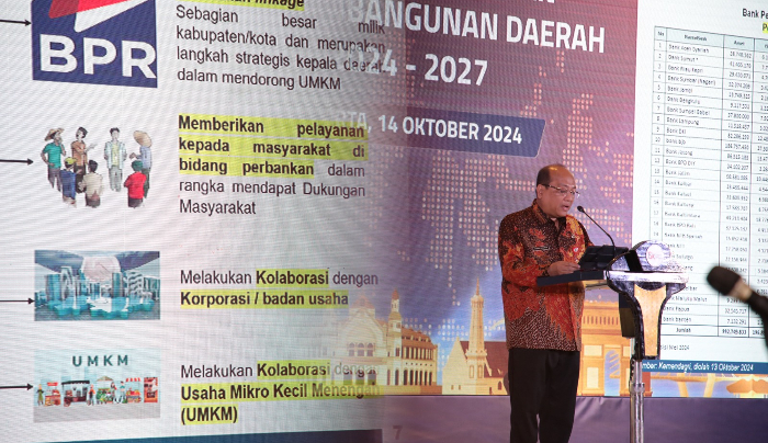 Tingkatkan Perekonomian Daerah, Kemendagri Dorong Pemda Perkuat BPD