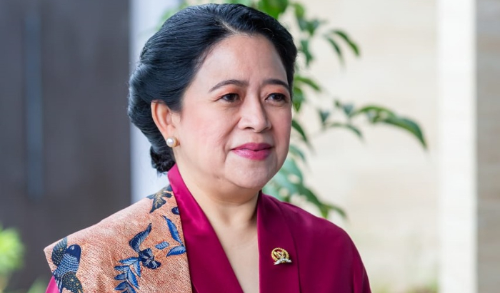 Ketua DPR RI Puan Maharani Ungkap Mitra Kerja untuk Dua Komisi Tambahan di DPR