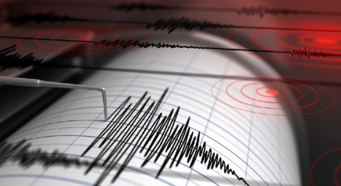 Gempa Darat Magnitudo 4,0 Guncang Nabire Papua Tengah