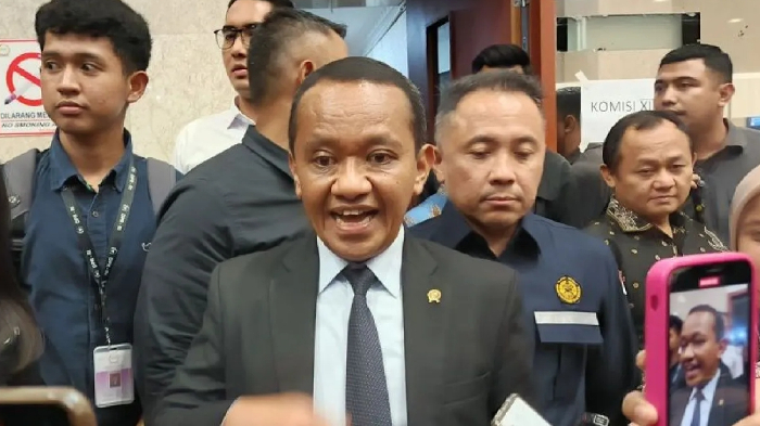 Kebijakan Hilirisasi: Pemerintah Kaji Larangan Ekspor Timah