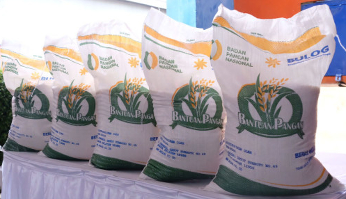 Bulog dan Bapanas Pastikan Tak Lakukan Penyaluran  Bantuan Pangan  Pemerintah Jelang Pilkada