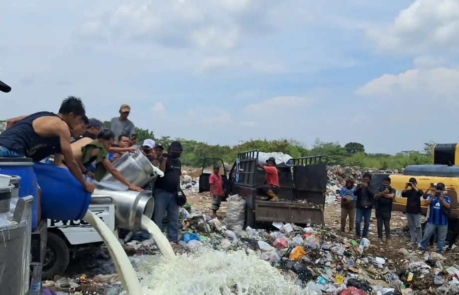 Peternak Sapi Perah di Boyolali Buang 50 Ribu Liter Susu, DPR Minta Pemerintah Respons Cepat