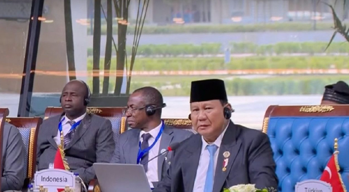 Berbicara di KTT D-8 , Presiden Prabowo Serukan Pentingnya Persatuan dan Kolaborasi Ekonomi