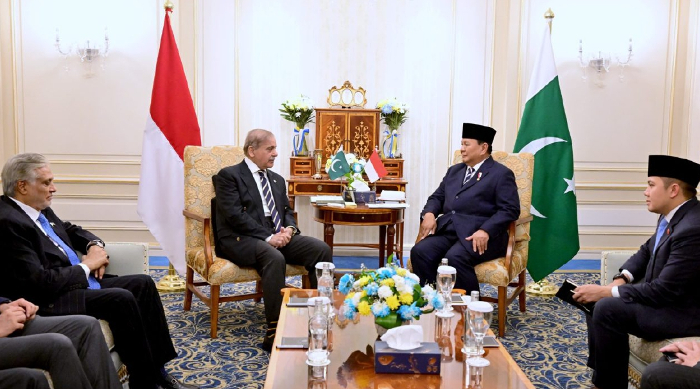 Bertemu PM Pakistan di Mesir, Presiden Prabowo Bahas Peningkatan Kerja Sama Ekonomi dan Perdagangan