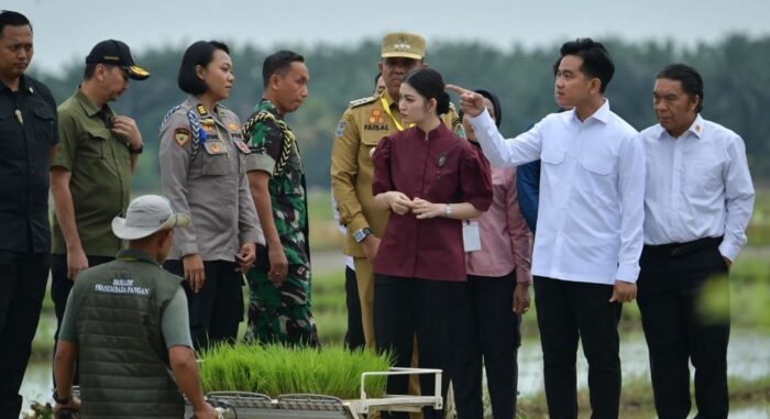 Wujudkan Swasembada Pangan, Wapres Tinjau Lahan Persawahan di Langkat