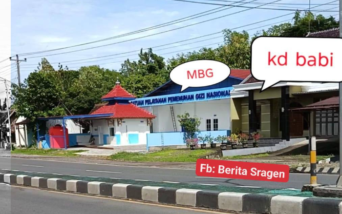 Tak Sesuai SOP, BGN Putuskan Relokasi Dapur MBG Sragen yang Dekat Kandang Babi