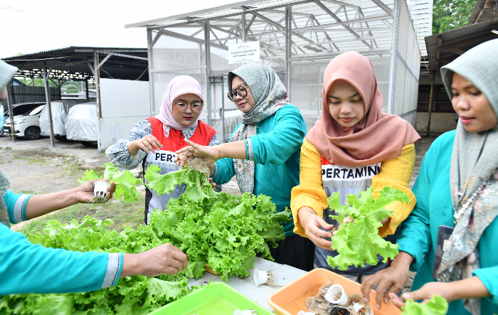 Program CSR Pertamina Ubah Wajah Pulau Merak