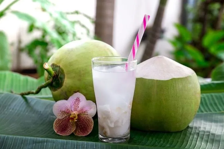 Tak Hanya Air Putih: Inilah 6 "Buah Hidrasi" Wajib Konsumsi Agar Tubuh Tetap Prima Selama Ramadan