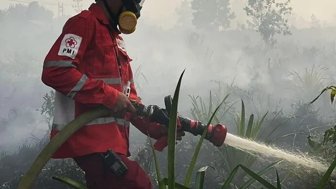 Update Karhutla Kalbar: Luasan Lahan Terbakar Meningkat, Mempawah dan Sambas Terparah