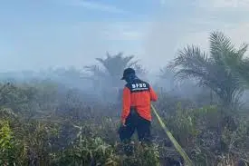 Waspada Paradoks Cuaca: Saat Jawa Banjir, Riau dan Kalimantan Justru Dikepung Ancaman Karhutla