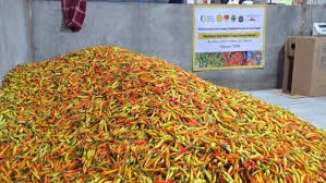 Update Harga Pangan Nasional 20 Februari: Cabai Rawit Merah Tembus Rp95.500, Minyak Goreng Curah Rp20.650
